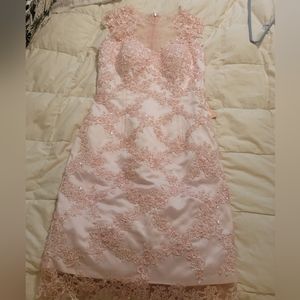 Bead & Lace Pink Dress